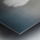 Small bird - big wings Metal print