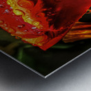 1382 Kuchenhof Metal print