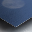 Nesting osprey Metal print