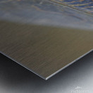 PaintedTurtle Metal print