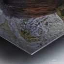 Salmon fishing Metal print