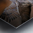 Sandhill in-flight motion Metal print