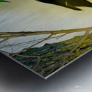 Wood duck Metal print