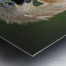 Juvenile Anhinga Metal print