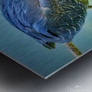  Green Heron Metal print