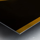 Tree Swallow Metal print