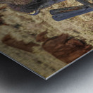 Bison leaping Metal print