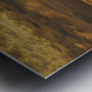 Sandhill cranes over Alaska Metal print