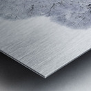 Hoarfrost in Minnesota Metal print