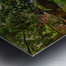  Arboretum Falls Metal print