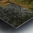 Cathedral Rocks Sedona Metal print