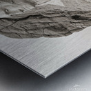 Mount Rushmore Metal print