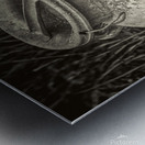 Metal milk can Metal print