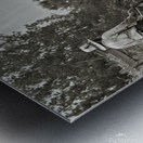 Farming with Oxen  Metal print