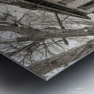 Farmhouse disrepair Metal print