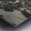 Washington farm plot Metal print