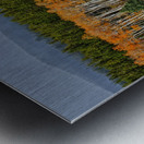Aspen on display Metal print