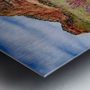 Owls Clover in Sedona Metal print