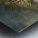 The eagle has landed Metal print