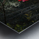   Fall Color in Lutsen Metal print