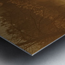 Sandhill crane migration Metal print