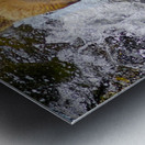 Dinner for grizzly  Metal print