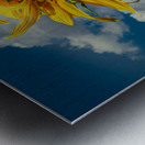 Sunny flowers   Metal print