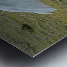 Catfish dinner for egret Metal print