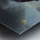 Eagle on nest Metal print