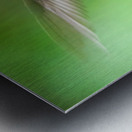 Male Ruby Hummer Metal print