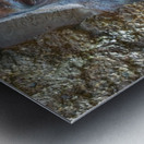 Lowland gorilla Metal print