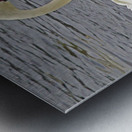 Trumpeter Swans Metal print