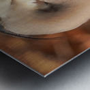 Great blue heron Metal print