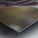 See no Evil   Metal print