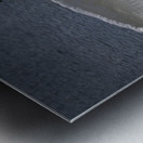 Comforting swan Metal print