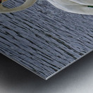 Hearty Swans Metal print