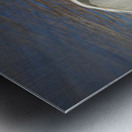 Wide wings of swan Metal print