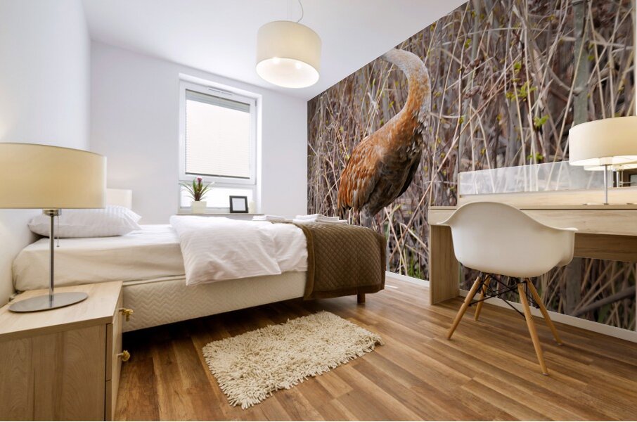 Sandhill Foraging Mural print