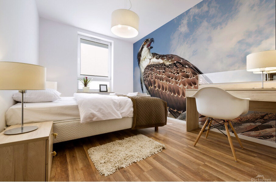 Osprey on watch Mural print