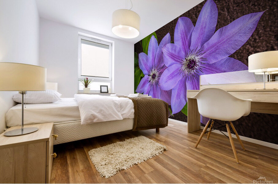 Clematis Flower Mural print