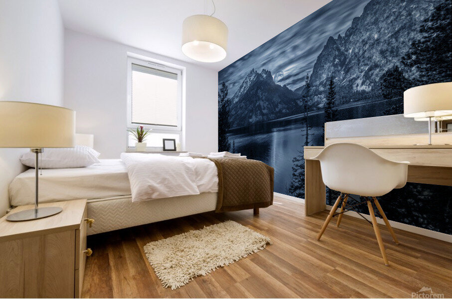 The Grand Teton at night Mural print