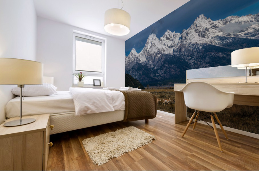 Pronghorns at home Mural print