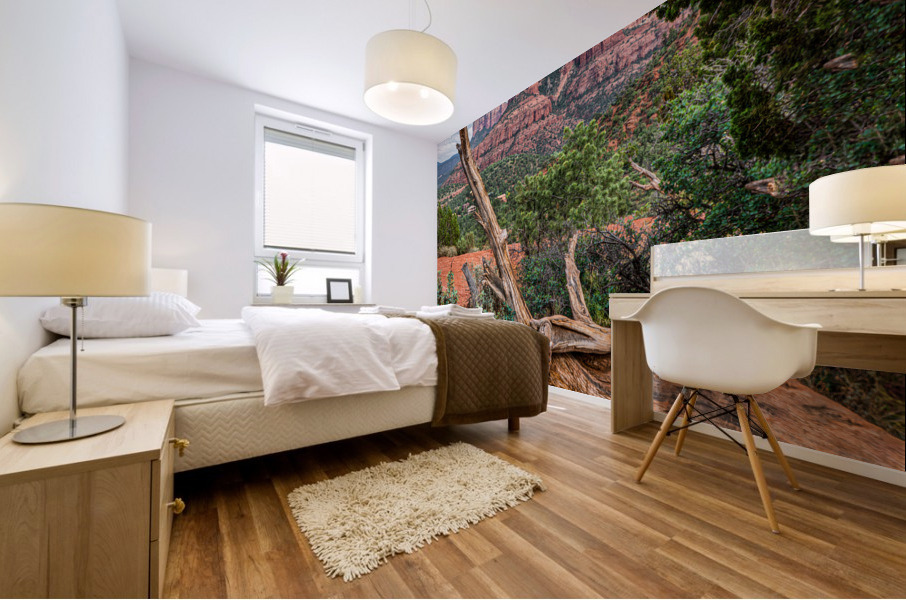 Scenic Sedona Mural print