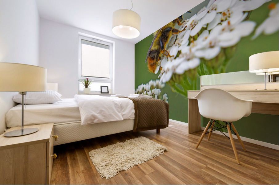 Honeybee on flower Mural print