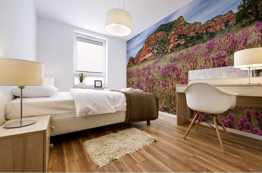 Clover Fields in Sedona Mural print