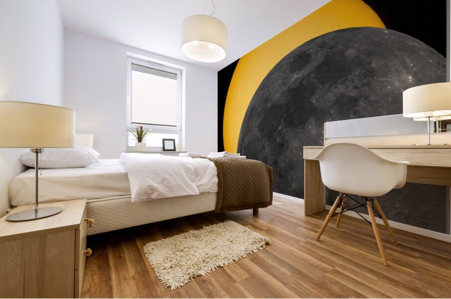 Partial Eclipse 2024 Mural print