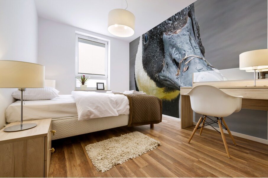 No sweat  Mural print