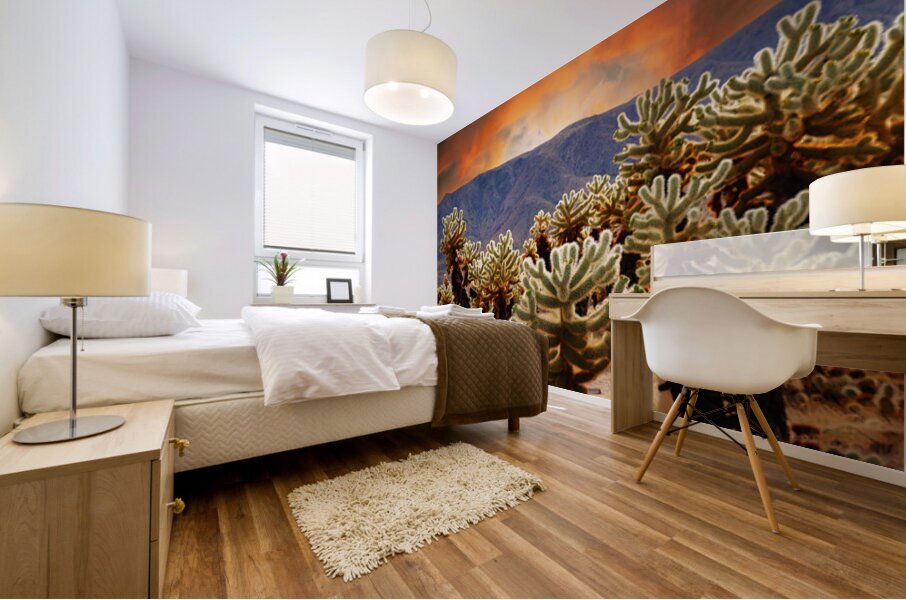 Prickly teddybear cholla Mural print