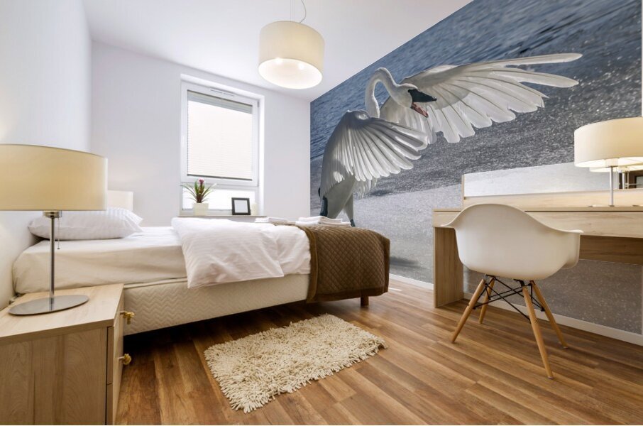 Swan on Guard Mural print