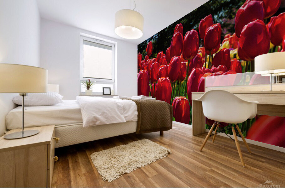 Red tulip parade  Mural print